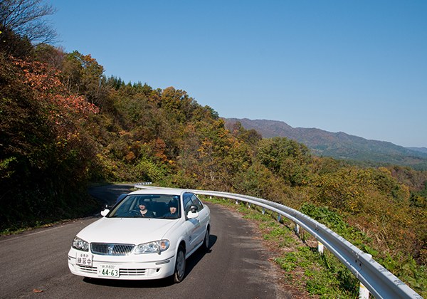 中条自動車学校の概要